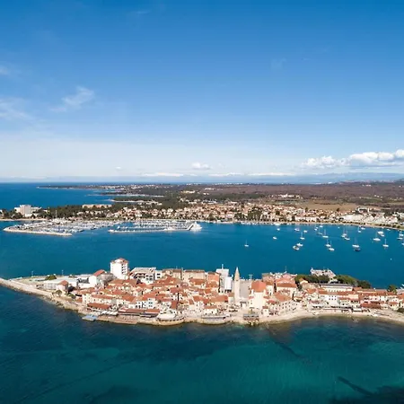 Dragica 3*