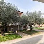 Dragica 3*