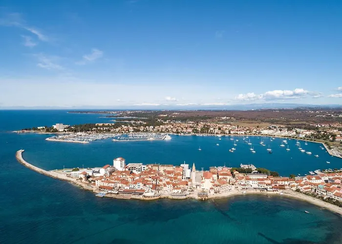 Dragica 3*