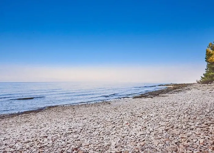 Dragica Umag